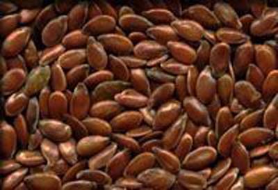 Flax seed extract